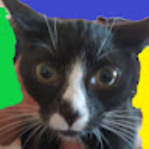 Meet your Posher, Jc